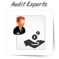 Accounts Payable/Receivable Audit Experts